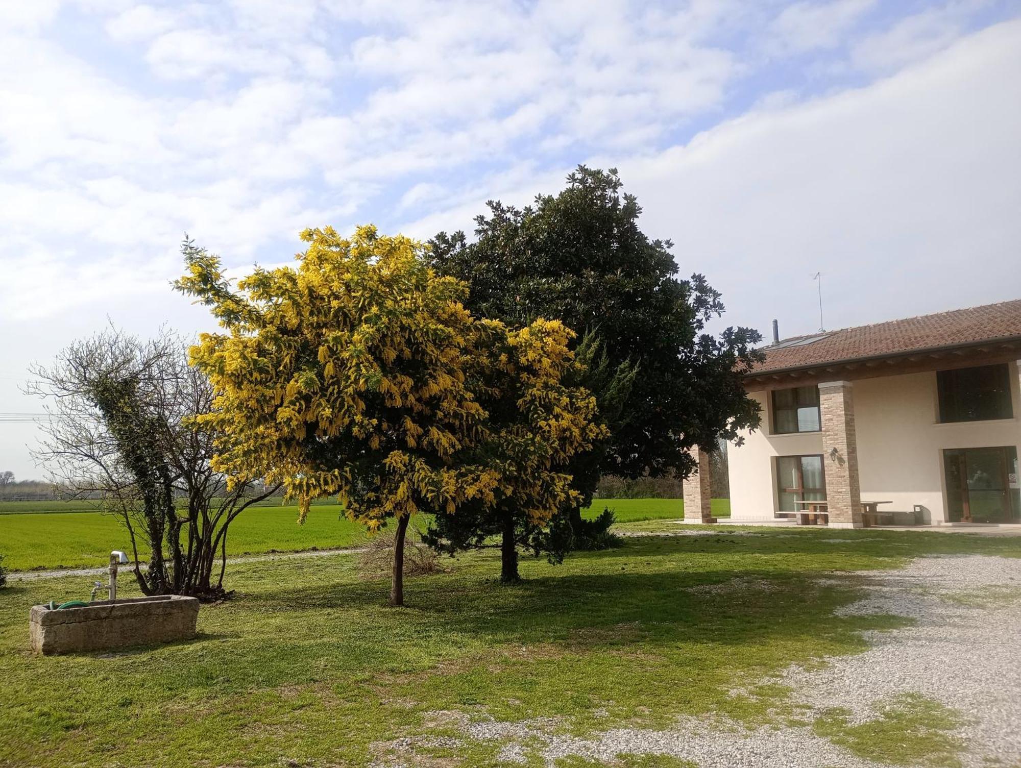 Agriturismo Trabucco كاسال سول سيل المظهر الخارجي الصورة