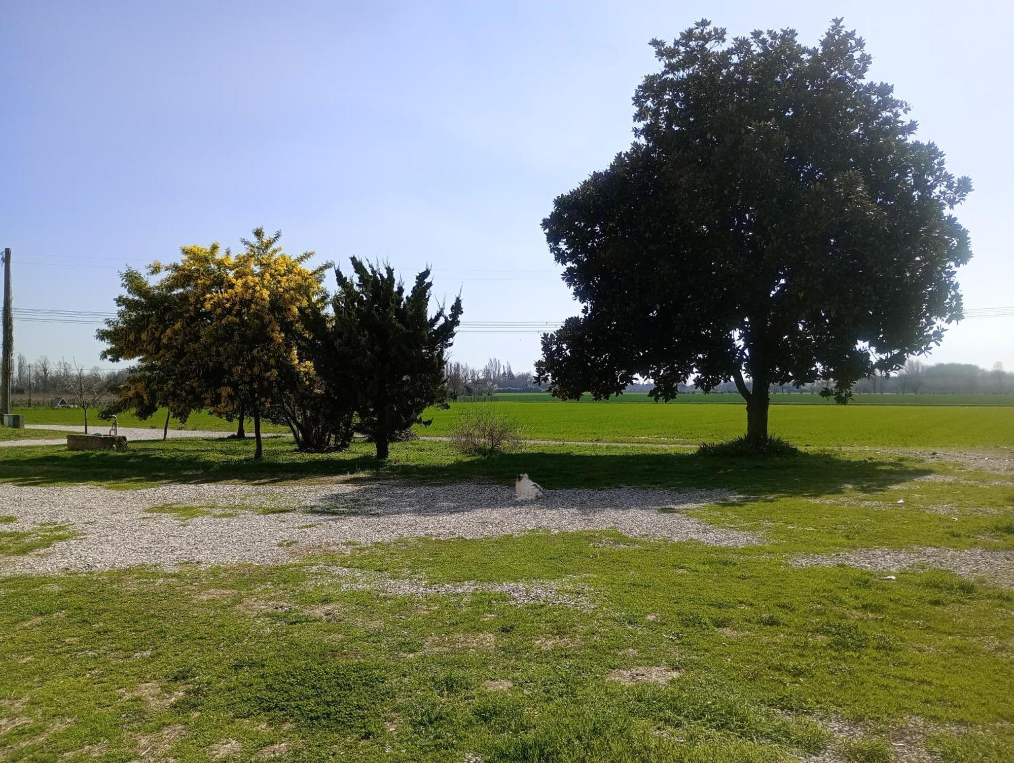 Agriturismo Trabucco كاسال سول سيل المظهر الخارجي الصورة